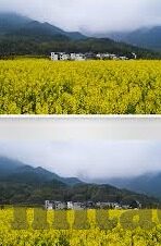 苹果testflight麻豆91-苹果Testflight与麻豆91，探索应用分发与内容消费的新模式