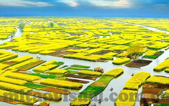 糖心app直播免费下载-体验直播魅力，解锁糖心App——畅享免费观看新乐趣